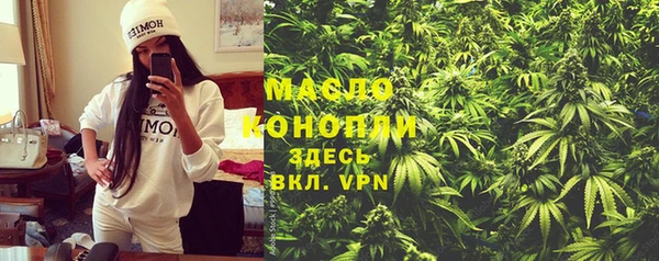прущий лед Абаза
