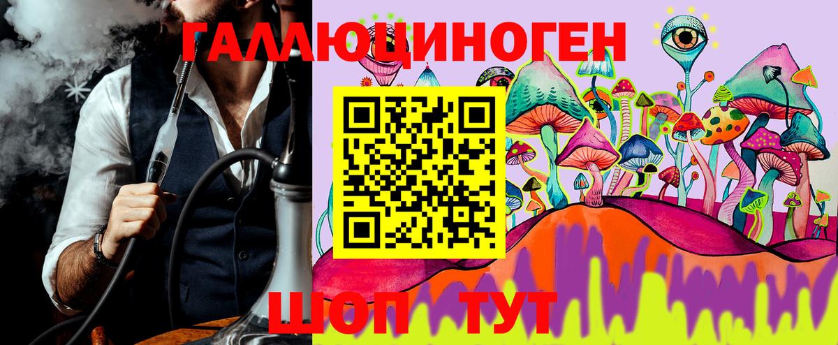 Псилоцибиновые грибы Psilocybine cubensis  Вход с VPN  Протвино 
